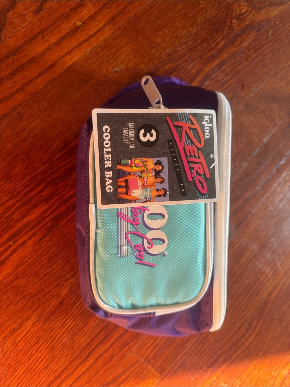 Igloo Retro Cooler Bag - Fanny pack Teal & Purple